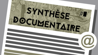 Les synthèses documentaires du CDEM
