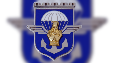 Insigne du 17e régiment du génie parachutiste